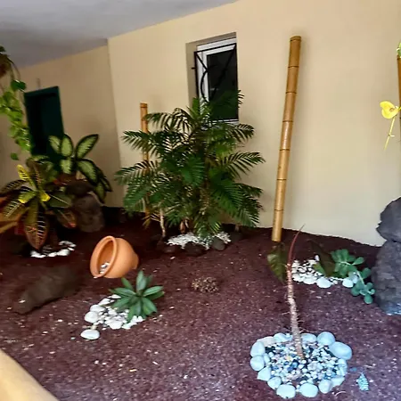 Apartmán Aloa Los Cristianos (Tenerife)